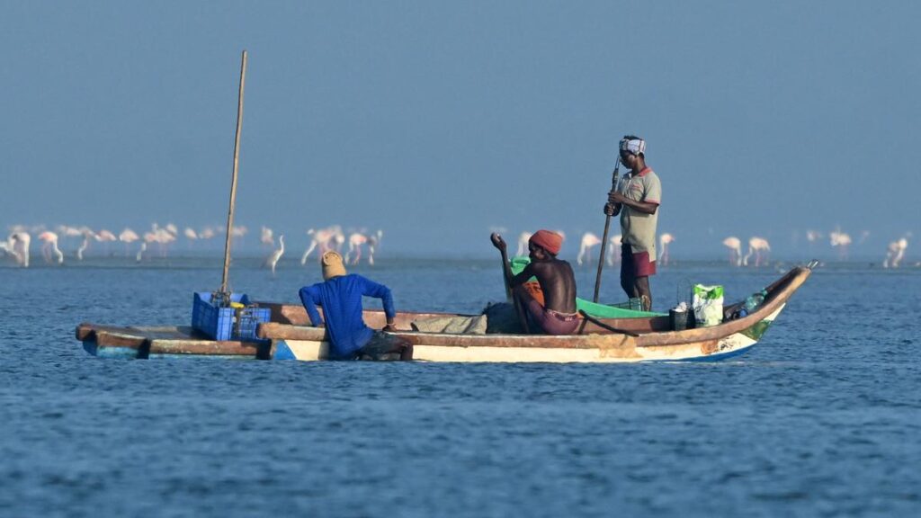 Pulicat Lake Near Gudur bird Sanctuary